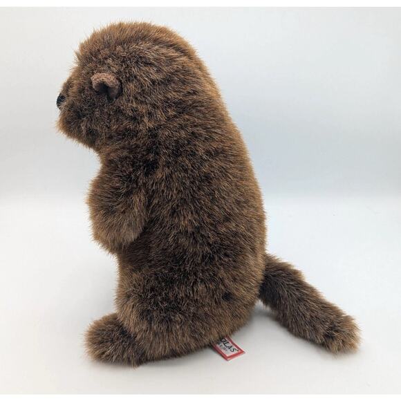 Douglas Chuckwood Groundhog Plush Stuffed Animal 2021 #251 Woodchuck - Picture 3 of 5